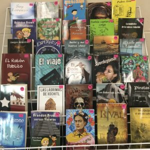 Teaching a Novel 101 in Spanish class - shared by Mis Clases Locas on Secondary Spanish Space