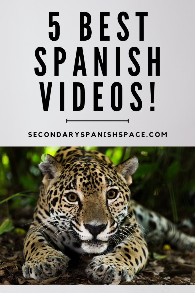 Best Spanish Videos